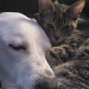 Meet your Posher, Deb and jim